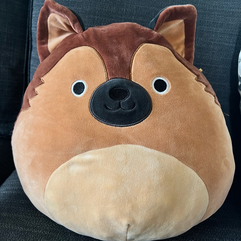 Rare Squishmallow